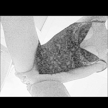 Gerda - S. Nazzaro - Tessin | Sexe Femme