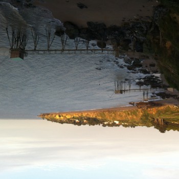 Maria-madalena - Cuarnens - Vaud | Sexe Femme